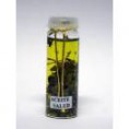 Aceite salud